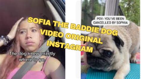 sofie the baddie|Sofia (@sofiathebaddie) • Instagram photos and videos